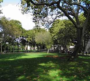 Археологический музей, Стамбул