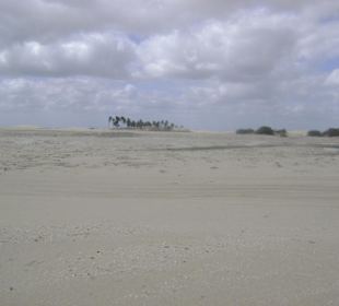 Buggy tour lagoa de paraiso