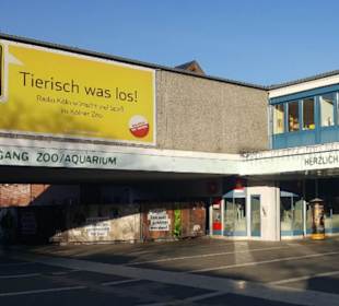 Zoologischer Garten Köln