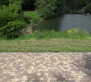 Waldsee Lützenhardt