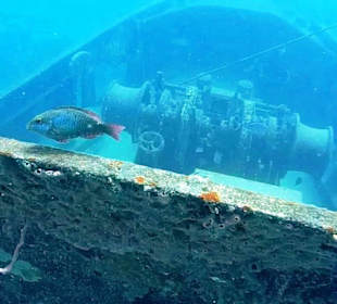 Bayahibe Atlantic Princess Wreck