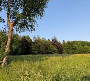 Stadtrundgang Bad Wörishofen