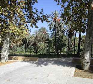 Botanischer Garten Palermo