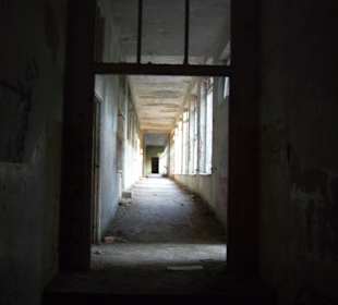 Zakład dla Nerwowo i Psychicznie Chorych Żydów Zofiówka