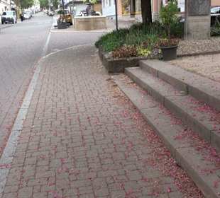 Stadtrundgang Dornstetten