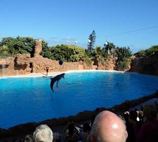 Loro Parque 
