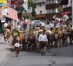 Der "Kleine" führt an