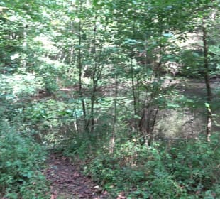 Hummelklingensee Walddorf