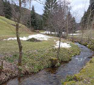 Wandern Freudenstadt