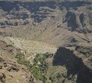 Schlucht von Tirajana