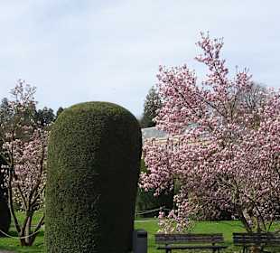 Wilhelma Stuttgart