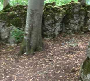 Burg Alt-Lichtenstein