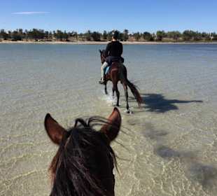 Flaches Wasser in der Lagune