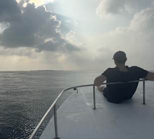 Delfin Tour Thulusdhoo