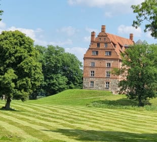 Blick vom Park auf das Schloss 