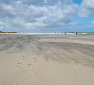 Strand Renesse