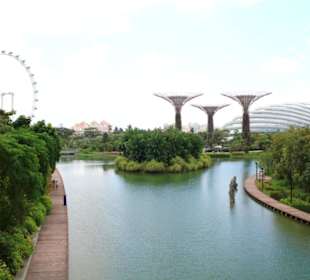 Gardens by the Bay