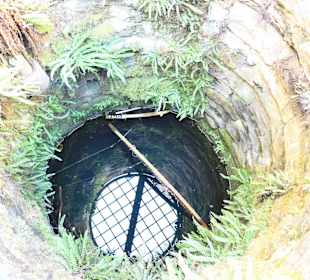 Tiefbrunnen Suenfzen