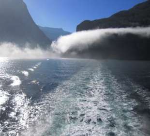 Wo bleiben die Flugsaurier