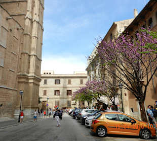 Kathedrale von Palma