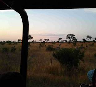 Krüger Nationalpark