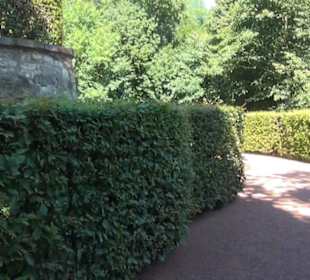 Schloss Lichtenwalde