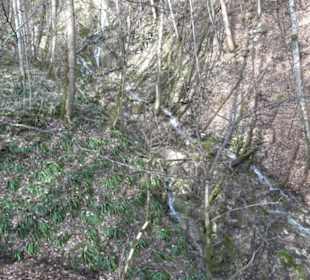 Wasserfallsteig