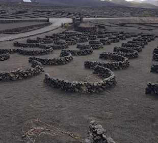 Direkt neben der Bodega