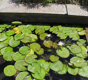 Египетский Национальный Музей.