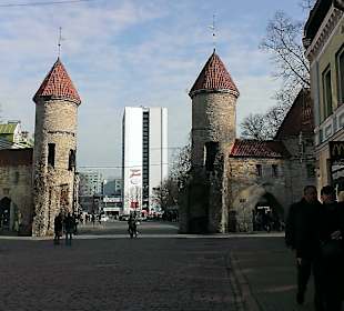 Вируские ворота