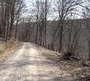 Geologischer Lehrpfad Kirnbachtal