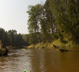 Mała Panew-widok z kajaku