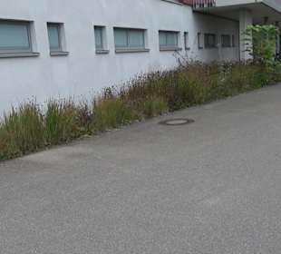 Tennisplätze Kressbronn