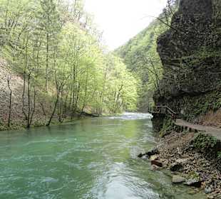 Vintgar - przyroda