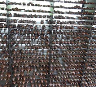 Dokumentationszentrum Grafeneck