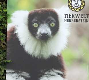 Tierwelt Herberstein