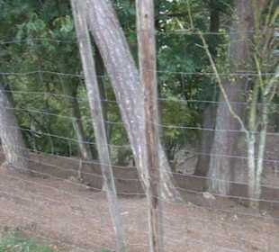 Erlebnisbauernhof und Wildgehege