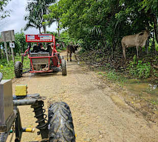 Weiter durch die Landschaft 
