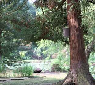Romantische Stimmung im Park