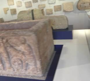 Rheinisches Landesmuseum