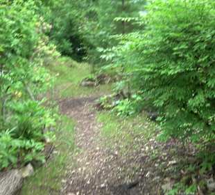 Mezger's Bürgle Park