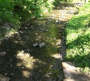 Kurpark Bad Niedernau