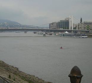 Donau