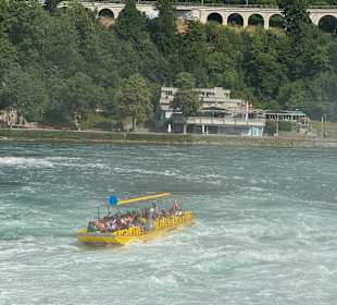 Rheinfall