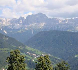 Blick auf den Rosengarten