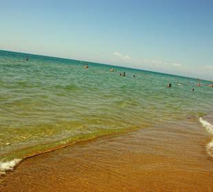 So weit das Auge reicht...Gündogdu