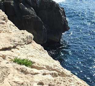 Abseits der Wege/Klippenwanderung