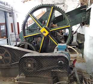 Freier Zugang zur Produktion der Zuckerfabrik