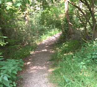 Rundwanderung Klingenbachtal - Sulzbachsee