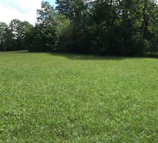 Burgruine Blankenstein